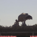 09_00-mast.jpg