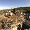 09_00-nest.jpg