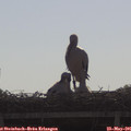 09_05-mast.jpg