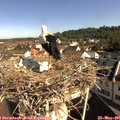 09_25-nest.jpg