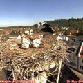 10_00-nest.jpg