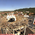 10_50-nest.jpg