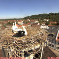 10_55-nest.jpg