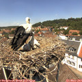 13_15-nest.jpg