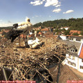 14_40-nest.jpg