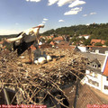 14_45-nest.jpg