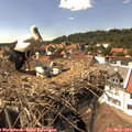 15_10-nest.jpg