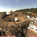 15_45-nest.jpg