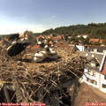 16_00-nest.jpg