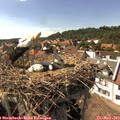 16_05-nest.jpg