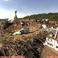 16_10-nest.jpg