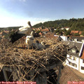 16_30-nest.jpg