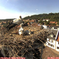 16_35-nest.jpg
