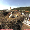 16_40-nest.jpg