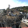 18_15-nest.jpg