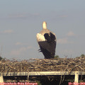 18_25-mast.jpg
