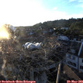 20_25-nest.jpg