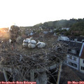 20_55-nest.jpg