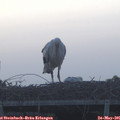 05_30-mast.jpg