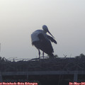 06_00-mast.jpg