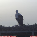 06_05-mast.jpg