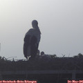 06_30-mast.jpg