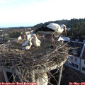 06_35-nest.jpg
