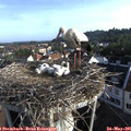 07_20-nest.jpg