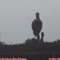 08_00-mast.jpg