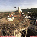 08_30-nest.jpg