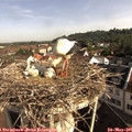 08_55-nest.jpg