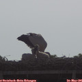 09_00-mast.jpg