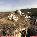 09_00-nest.jpg
