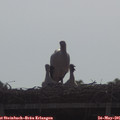 09_05-mast.jpg