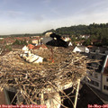 09_05-nest.jpg