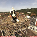 12_15-nest.jpg