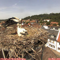 13_45-nest.jpg