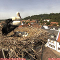 14_10-nest.jpg