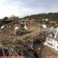 15_15-nest.jpg