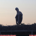 05_50-mast.jpg