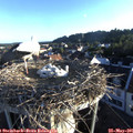 06_30-nest.jpg