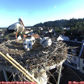 06_40-nest.jpg