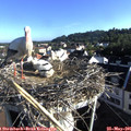 07_40-nest.jpg