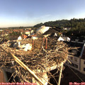 07_45-nest.jpg