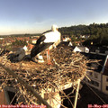 08_05-nest.jpg