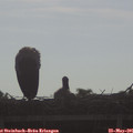08_30-mast.jpg