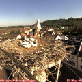 08_40-nest.jpg
