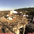 08_45-nest.jpg