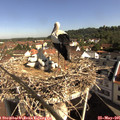 09_30-nest.jpg