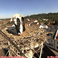 09_50-nest.jpg
